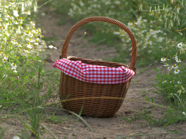 istock Picnic basket and red gingham cloth in countryside scene 1385755487