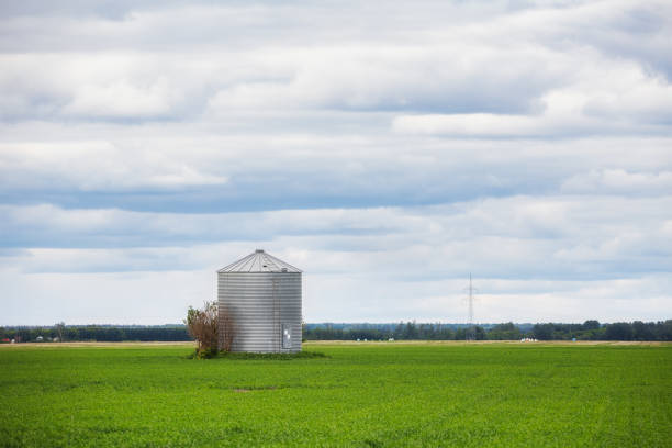 istock A grain bin in a green agriculture crop 1385757495
