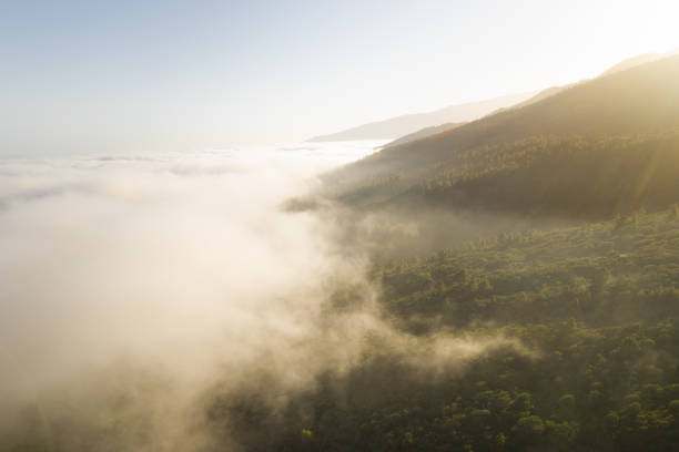 istock Epic green mountains shrouded in clouds. Tenerife, Spain 1385758974