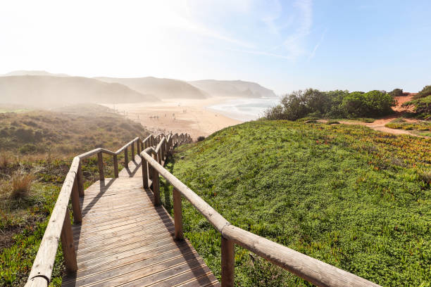 vista su praia do amado, spiaggia e spot per surfisti vicino a sagres e lagos, costa vicentina algarve portogallo - sagres foto e immagini stock