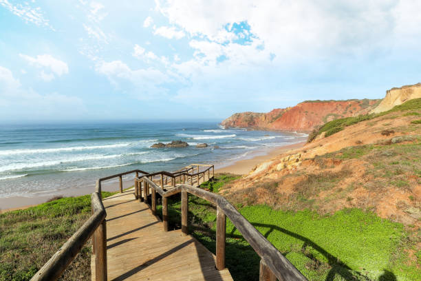 widok na praia do amado, plażę i surferów w pobliżu sagres i lagos, costa vicentina algarve portugalia - ericeira zdjęcia i obrazy z banku zdjęć