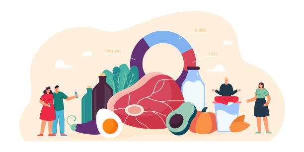 Tiny people standing near keto diet diagram and food Tiny people standing near keto diet diagram and food. Persons eating meal with low carb and high protein products for healthy ketogenic state and treatment flat vector illustration. Ketosis concept ketogenic diet illustrations stock illustrations