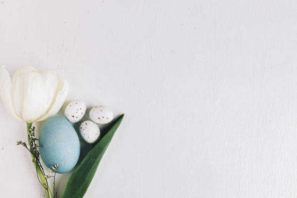 istock Happy Easter! Stylish Easter egg and tulip flat lay on rustic white wood, space for text. Natural dyed blue egg and spring flower composition, minimal layout. Greeting card 1385762178