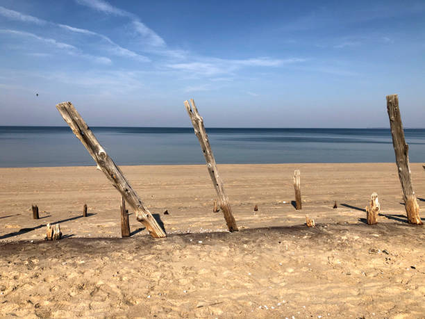 istock Beach Wood and Coastline 1385762296