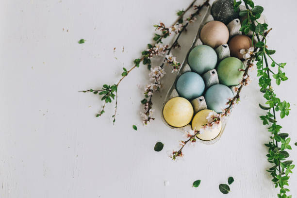 istock Stylish Easter eggs and cherry blossoms on rustic white wooden background. Happy Easter! Flat lay with space for text. Natural dyed colorful eggs in tray and spring branches on rustic table 1385763013