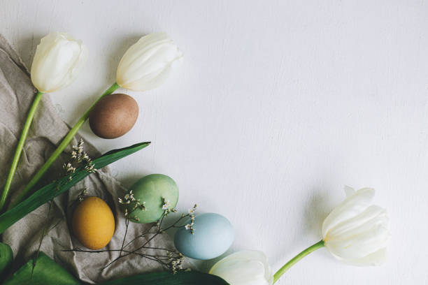 istock Happy Easter! Stylish Easter eggs and tulips border flat lay on rustic white wooden background with space for text. Natural colorful dyed eggs and spring flowers composition. Greeting card 1385763532