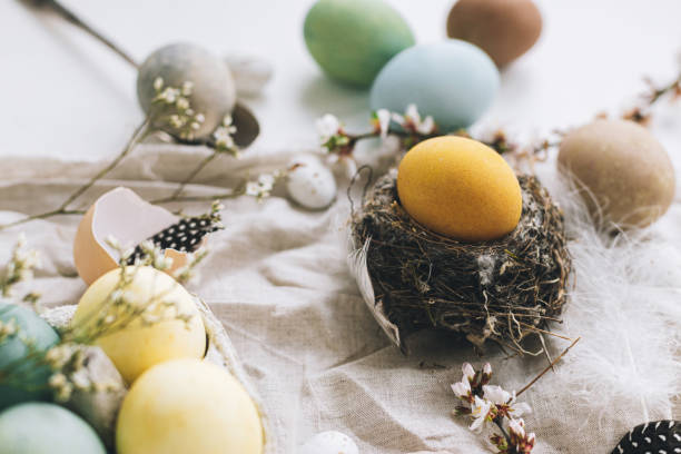 istock Happy Easter! Stylish Easter eggs and cherry blossom on rustic linen background.  Natural dyed colorful eggs, flowers, feathers and nest composition on rustic table. Countryside still life 1385765674