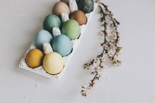 istock Stylish Easter eggs and cherry blossoms on rustic white wooden background. Happy Easter! Natural dyed colorful pastel eggs in tray and spring flowers on rustic table. Countryside still life 1385765782