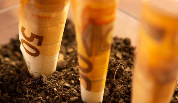 Treasure chest in green grass. Dig treasure. Bury money. Digging Treasure box with EURO money bills in soil. Digs EURO coins note on ground in grass. Treasure hunter. One hundred European bills.