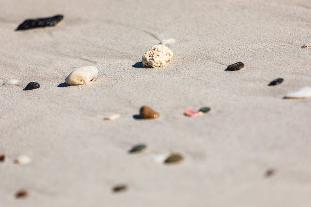 istock Pebbles on a beach on the Sea of Cortez. 1385773510