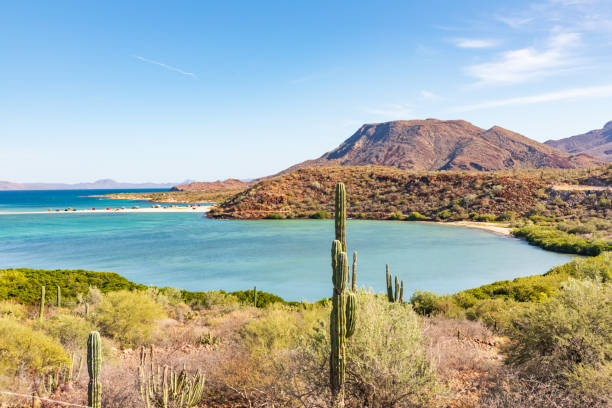 A small desert bay in the Sea of Cortez. Playa el Requeson, Mulege, Baja California Sur, Mexico. A small desert bay in the Sea of Cortez. baja california peninsula stock pictures, royalty-free photos & images