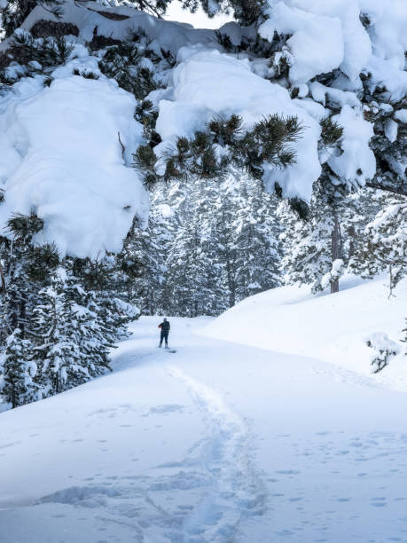 istock winter hiking in difficult conditions and the magnificent landscape texture 1385778659