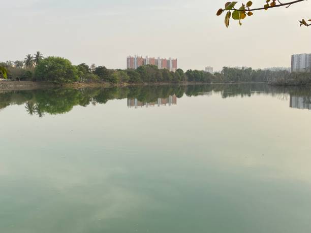 istock Green lake and city at evening 1385780248