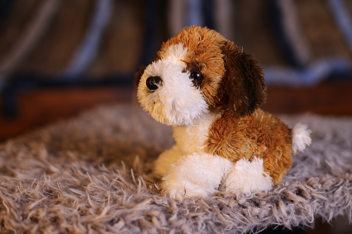 Adorable brown and white stuffed dog toy.