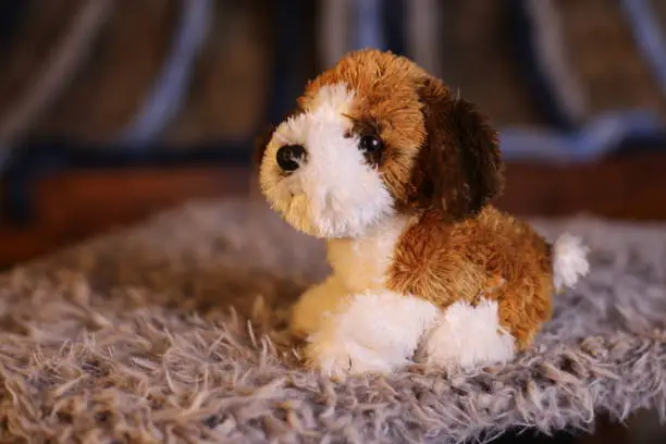 Photo of Adorable brown and white stuffed dog toy