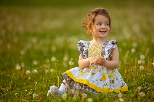 Little cute baby girl sitting in the field full of dandelions