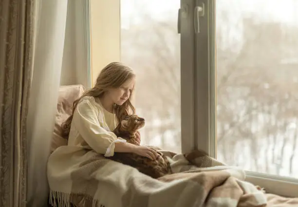 Photo of girl sits on the windowsill by the window with a cat