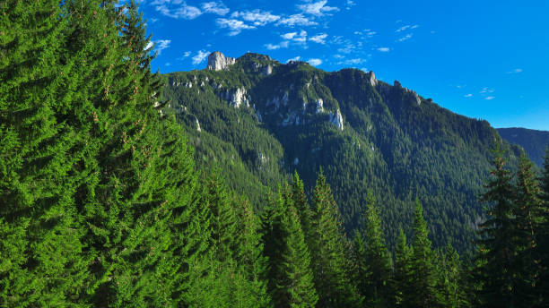 istock Toaca Peak - Ceahlau Massif, Romania 1385791207