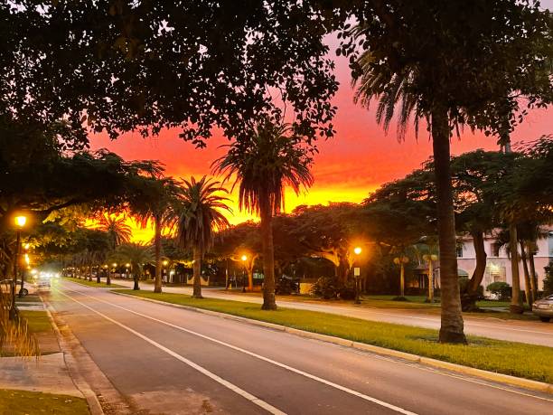 istock Sunset over South Miami Avenue (2) 1385816814