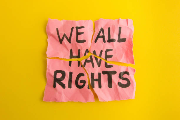 Text we all have rights handwritten on torn paper note. Equality, community, togetherness concept