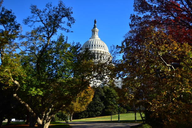 istock United States Capitol Building 1385827804