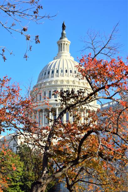 istock United States Capitol Dome 1385827847