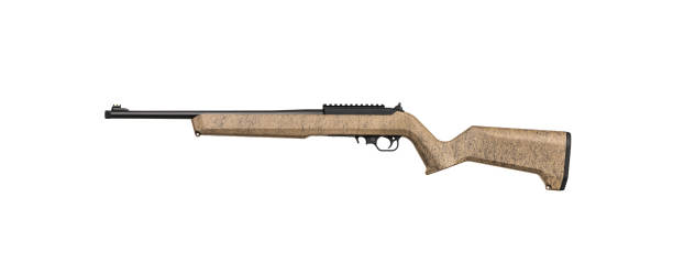 istock Modern semi-automatic small-caliber .22lr rifle. Sports carabiner .22lr. Isolate on a white background. 1385837957