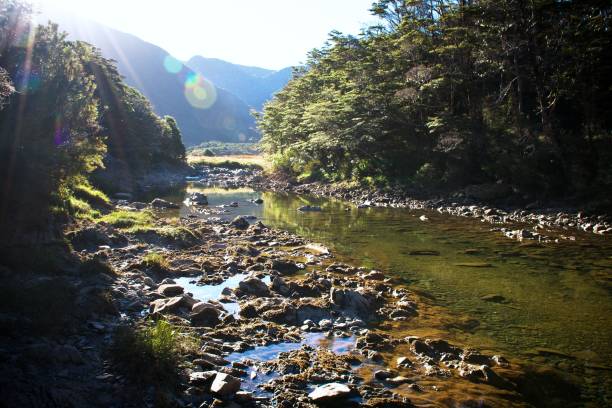 istock Beautiful River in Nature with Natural Solar Flares 1385839298