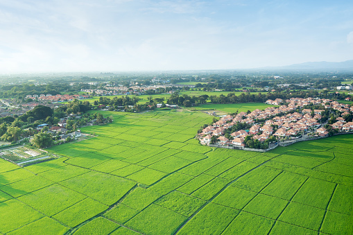 Land or landscape of green field in aerial view or bird eye view. Include agriculture farm, residential or house building in village. That real estate or property for developer to development by construction, housing subdivision. For agent, Real Estate Agent, investor and lawyer to owned, sale, rent, buy, purchase, mortgage and investment in Chiang Mai of Thailand.