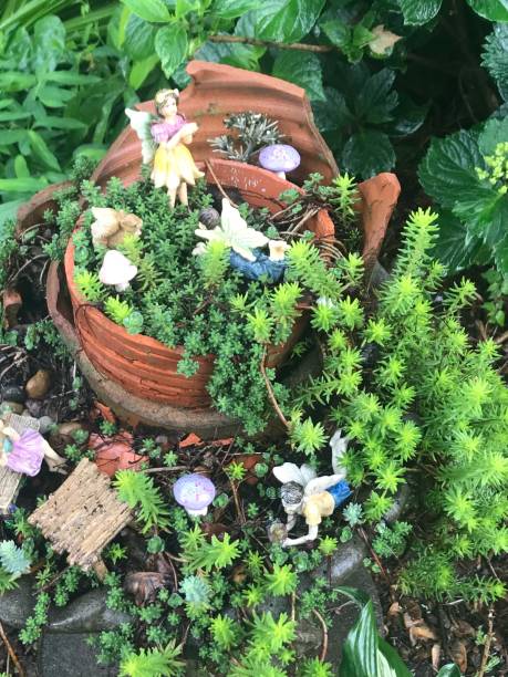 A tiny outdoor fairy garden in a broken pot
