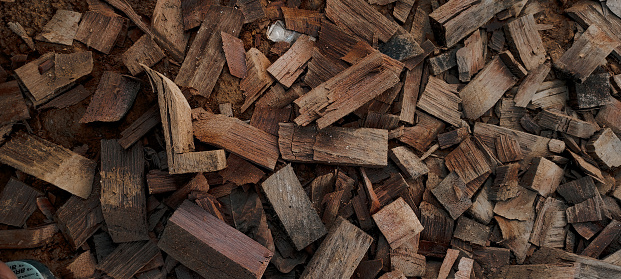 scattered wood chips