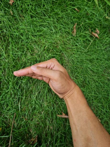 istock Human body parts 1385861316