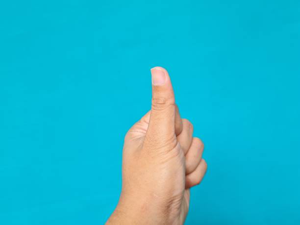 istock Human body parts 1385861367