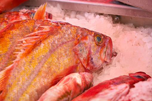 Fresh yelloweye rockfish for sale at the seafood market.