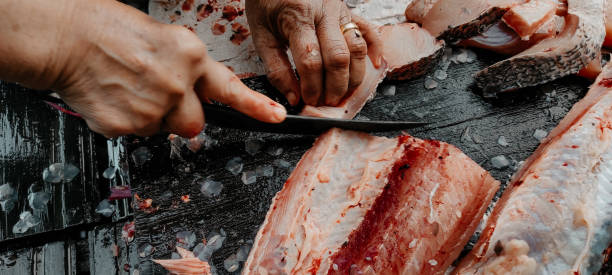 istock a chef cuts a fish covered in blood 1385865387