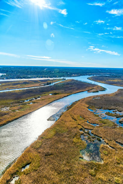 istock Wild Florida Aerial 1385875534