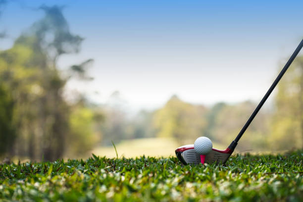 golfschläger und golfbälle auf einer grünen wiese auf einem schönen golfplatz mit morgensonne. - golf golf ball tee green stock-fotos und bilder