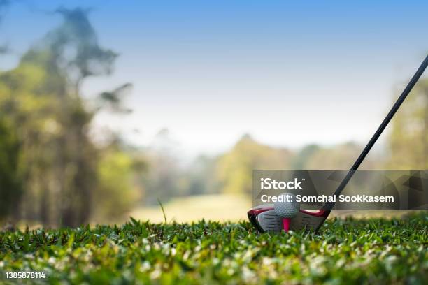 Golf Clubs And Golf Balls On A Green Lawn In A Beautiful Golf Course With Morning Sunshine Stock Photo - Download Image Now
