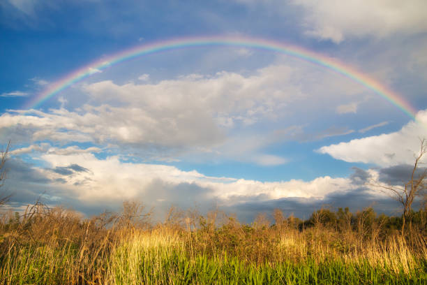 um arco-íris cheio sobre um pântano - saskatchewan sky rain cloud - fotografias e filmes do acervo