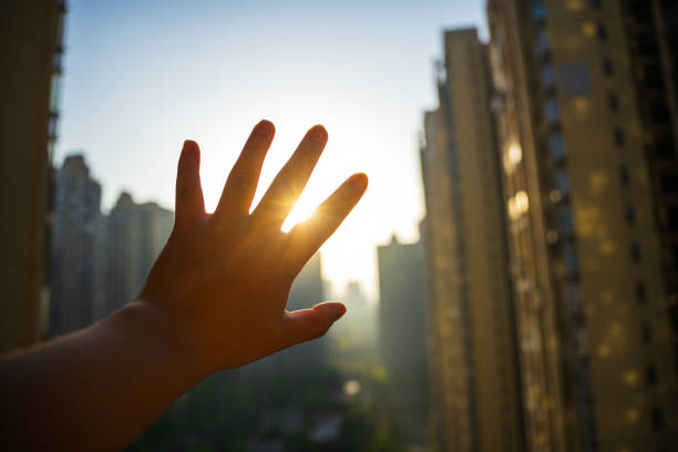 Catch the sunshine with your hands in the morning