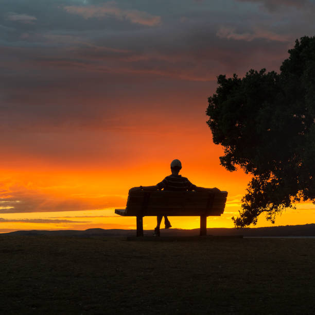 Silhouette image of a man sitting on the bench at sunrise. Framed by Pohutukawa trees. Auckland. Silhouette image of a man sitting on the bench at sunrise. Framed by Pohutukawa trees. Auckland. rangitoto island stock pictures, royalty-free photos & images
