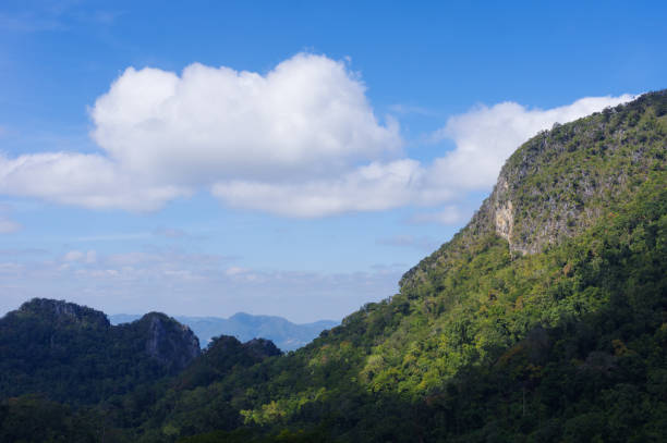 istock View on the way up to Doi Luang Chiang Dao, 1385902662