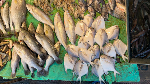 istock Fish for sale at the market 1385903005
