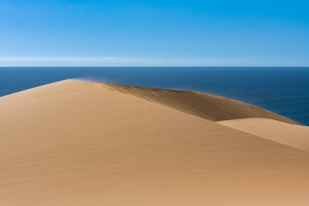 istock Namibia, the Namib desert 1385905087