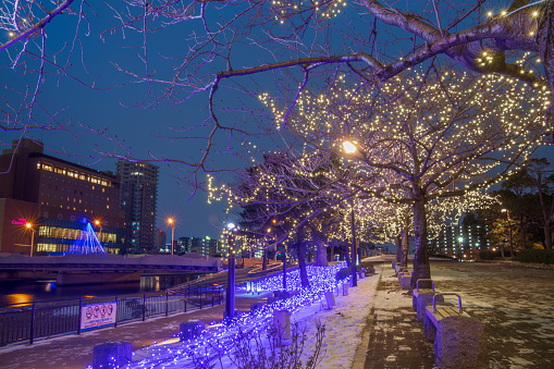 Kokurakita Ward, Kitakyushu City, Fukuoka Prefecture, Japan January 9, 2021 An event in which trees and buildings around the snowy Katsuyama Park are decorated with illuminations.