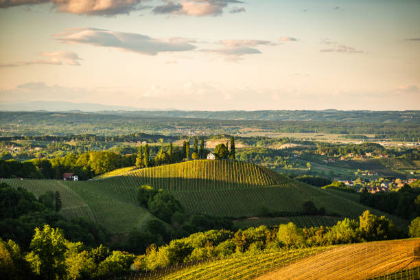 istock Austria Vineyards Sulztal Leibnitz area south Styria 1385914810