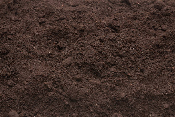 istock Black land for plant background. Top view. 1385917073