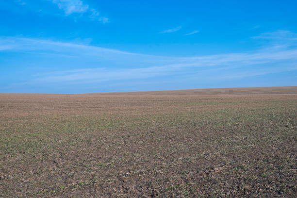 istock Ploughed field and blue sky as background. 1385917091