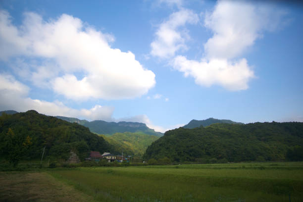 istock This is also popular tourist site in Oita. 1385917940