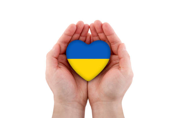 istock Ukrainian heart in hands isolated on white background with clipping path 1385919421